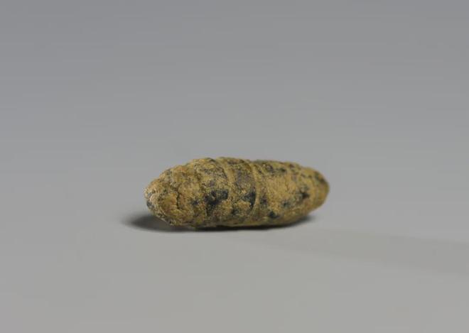 远扬！其中一位说：“见义勇为者请进来关说词讼者滚出去”…瓦力棋牌大同有处“新生”的“县长大院”因两位民国县长声名(图7)